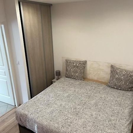 Appartement Oasis Proche De Lyon Groupama Lcdl Meyzieu Eksteriør billede
